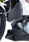 Hliníková mřížka chladiče, BMW G310R / GS ,Modrá
